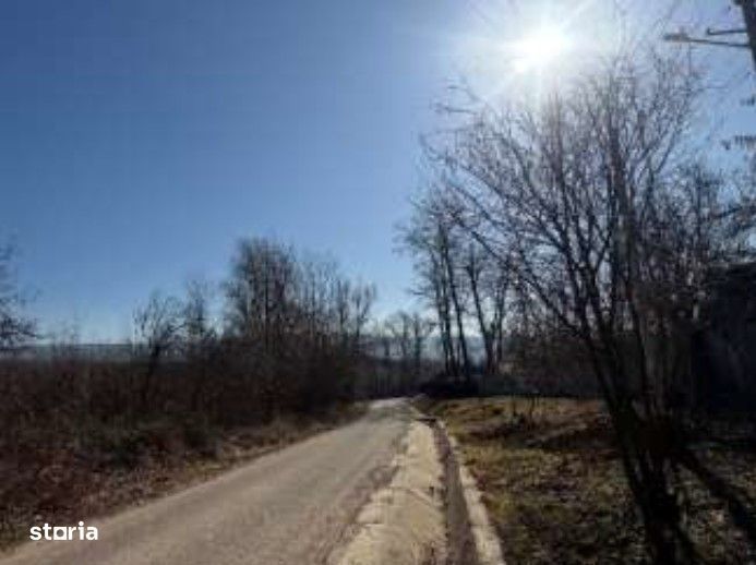 Teren intravilan/extravilan Ciofeni, ID: R3013251
