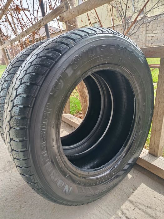 Автошина для легковых автомобилей