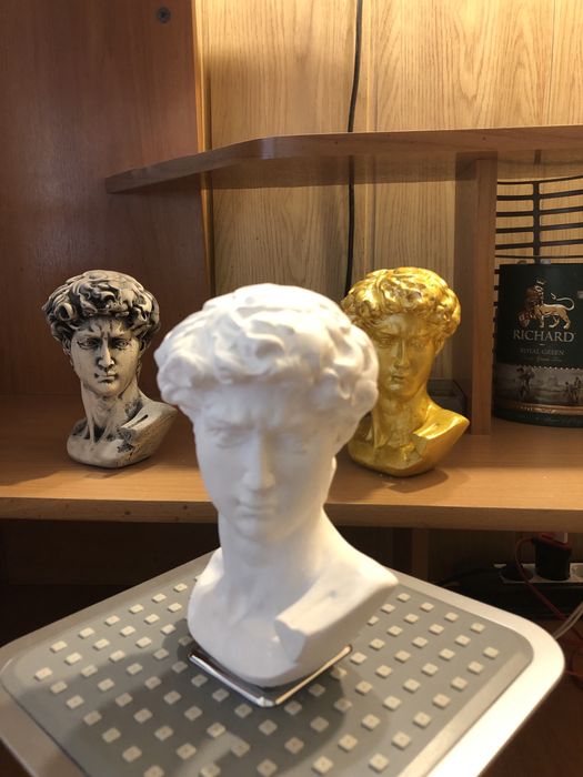 Давид Микеланджело