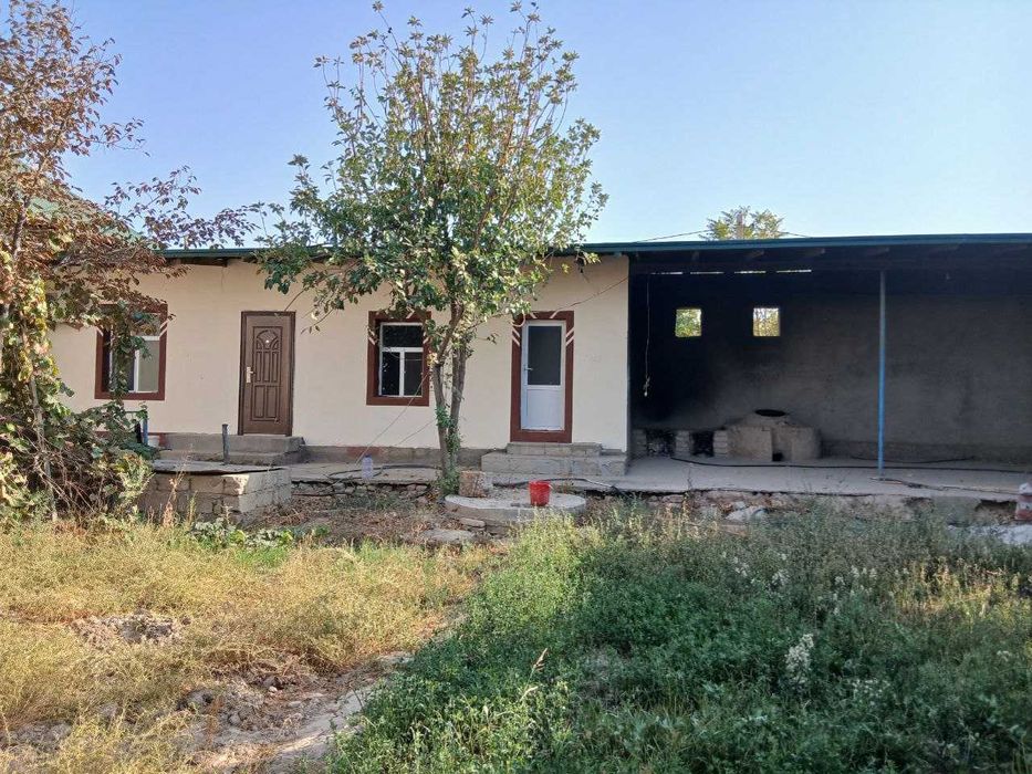 Surxondaryo termiz tuma sabzipoya termiz tuman
