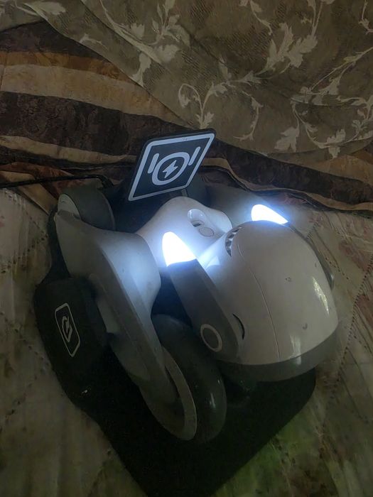 Loona the robot.