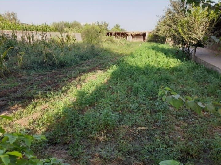 Уй сотилади нархини келишамиз