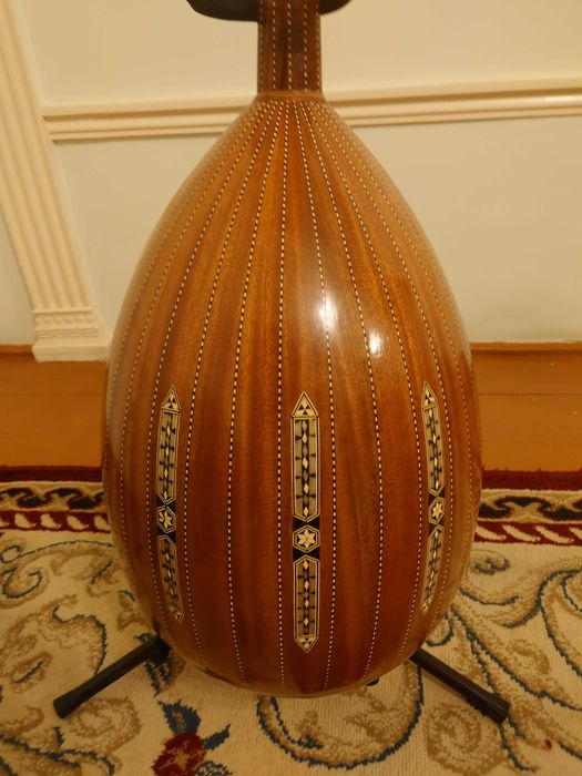 Arabic professional musician oud