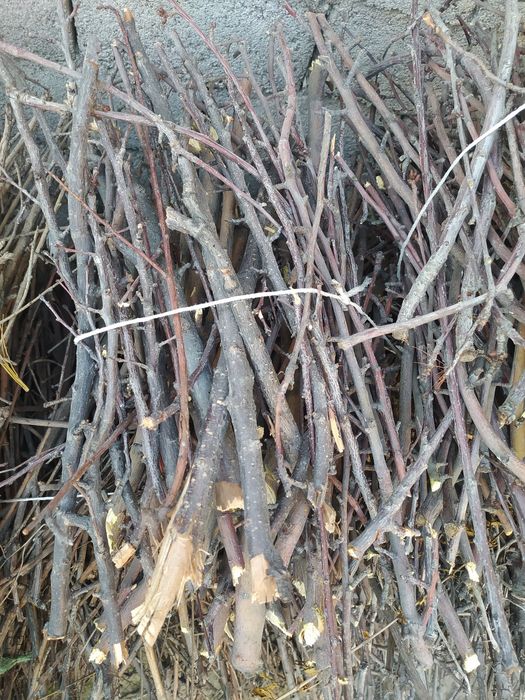 Утин сотилади таёр