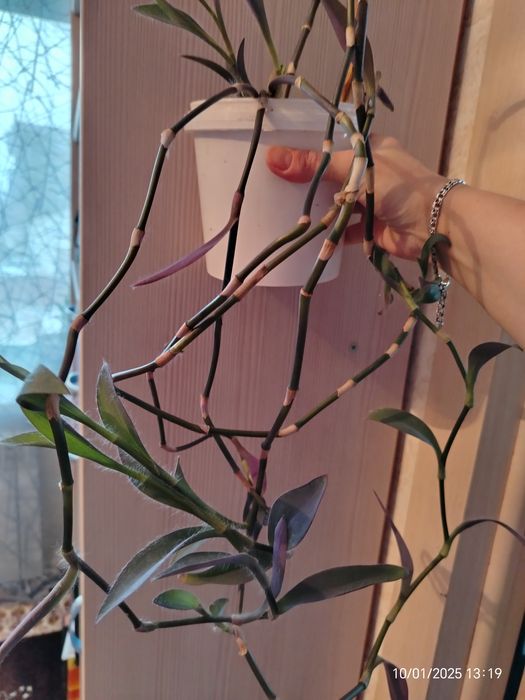 Недорого продам за 500тг