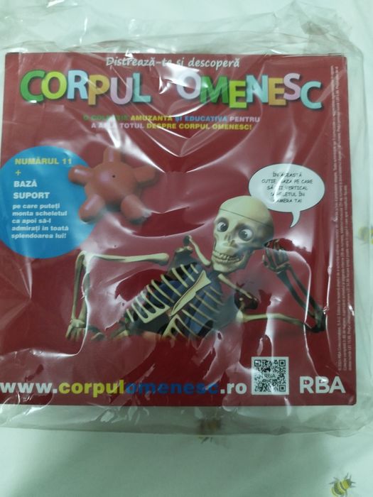 Corpul Omenesc Libertatea