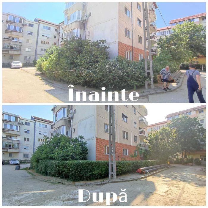 Tai , Tund Iarbă  Defrișări – intervenții rapide/servicii profesionale