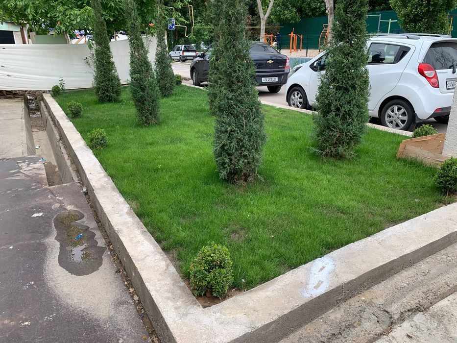 Gazon ekish xizmati