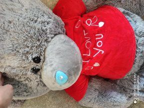 Teddy ойинчок янги биркаси билан