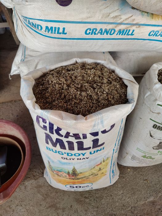 Шурха, sholxa, Шулуха чигит, Шурха, Ем мол куй учун