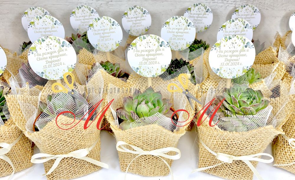 Сукуленти,подаръци за гости,кръщене,подаръци за гостите,подаръци цветя