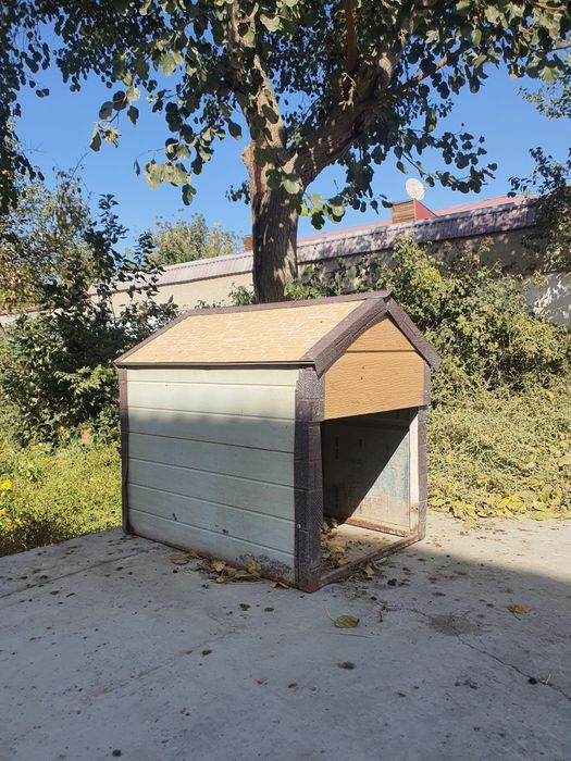 Кучук уйчаси сотилади.