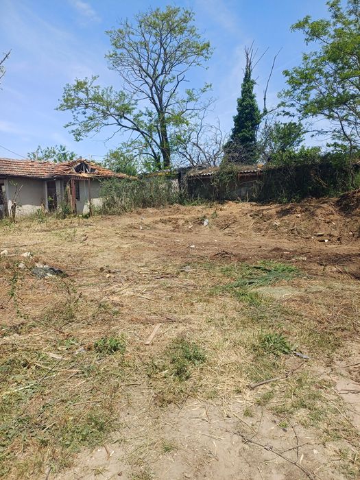 Косене на трева.Почистване на дворни места от храсти,дървета