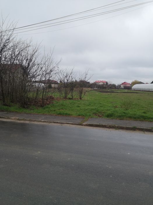 Teren de vânzare – Cornetu, Ilfov – Strada Bradului
