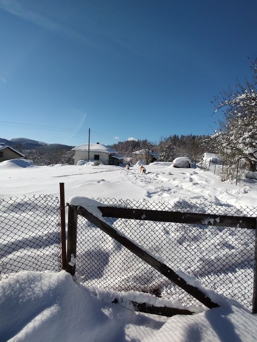 Парцел с къща с.Шума