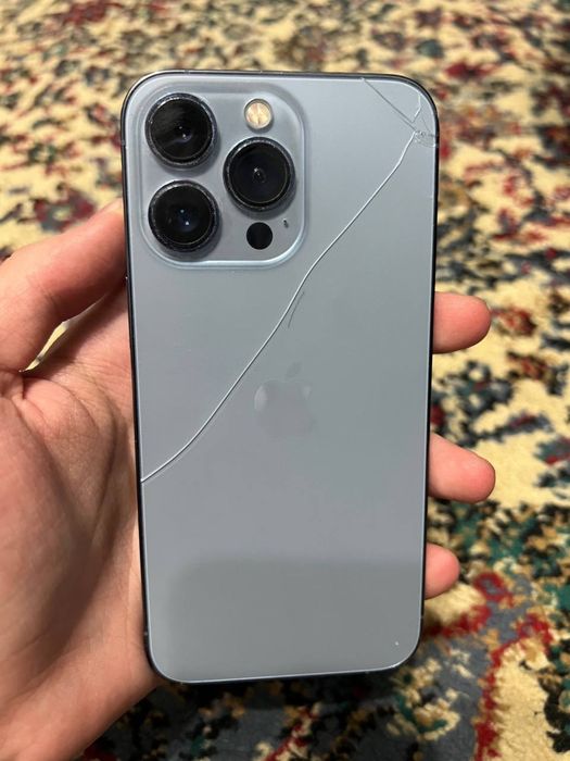 Iphone 13 pro кичкина доги бор
