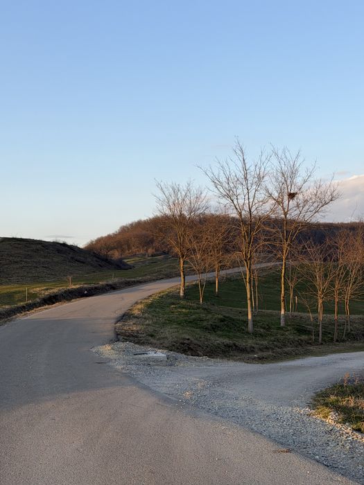 Teren intravilan Hidiselu de Sus