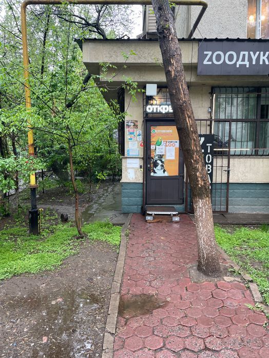 Возможно пропала собака