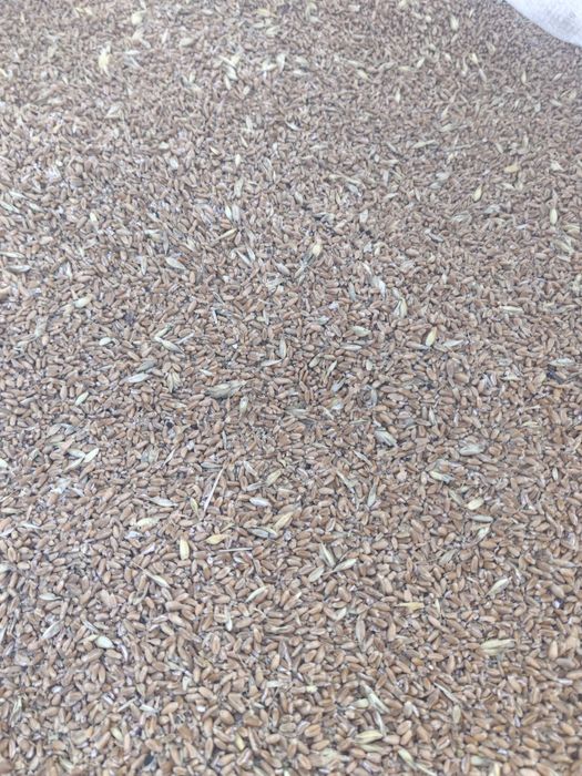 Продаю сечку 3800 мешок 40 кг