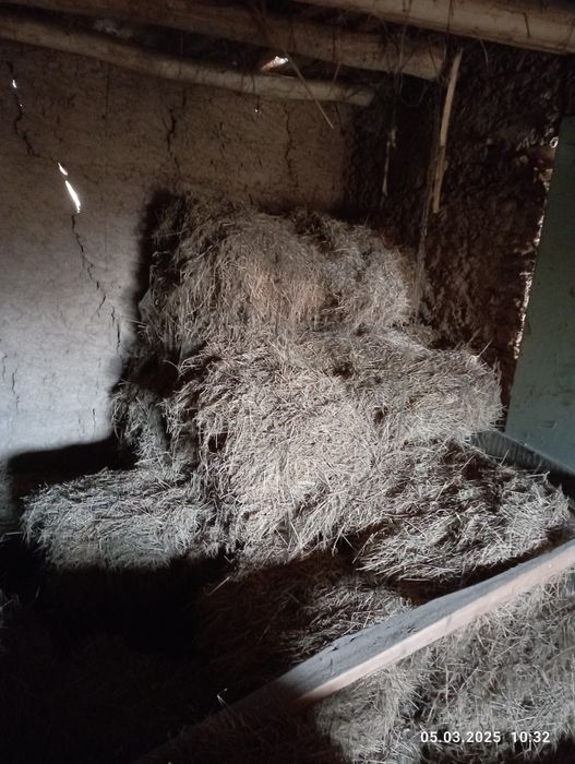 Уй хайвонлари учун Курук хашак сотилади 40та пресс.