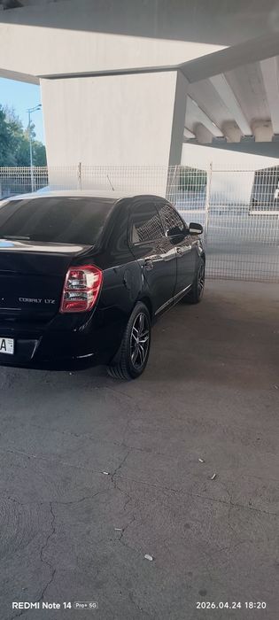 Other Cobalt 2023 — 2