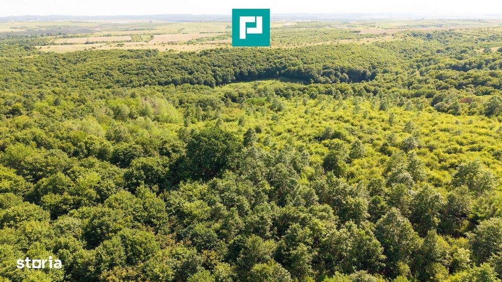 Teren Agricol Extravilan  22.900 Mp Lipova