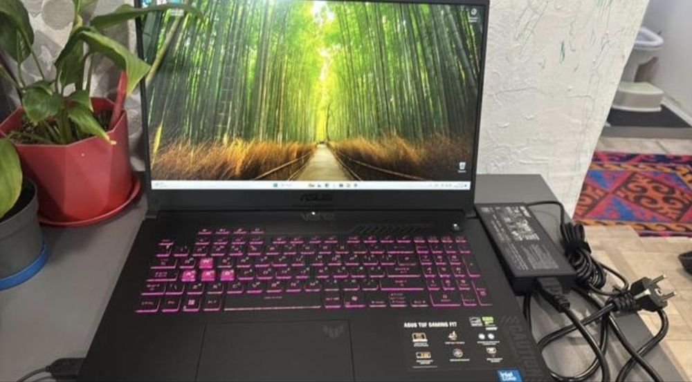 Asus Tuf Gaming F17