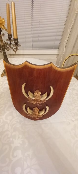 Немски трофеи диво прасе, документ, трофей