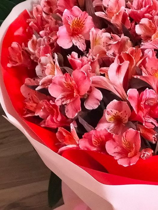 Гүлдер барлық турі