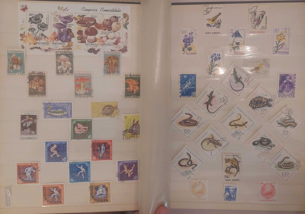 Clasor format A4 cu timbre si colite romanesti + BONUS
