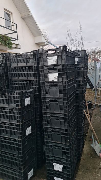 Vând lădițe plastic rigide