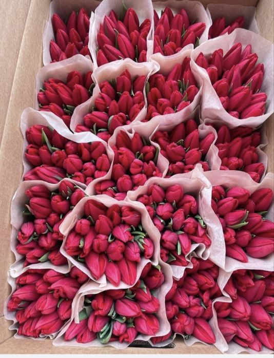 Тюльпаны с Доставкой