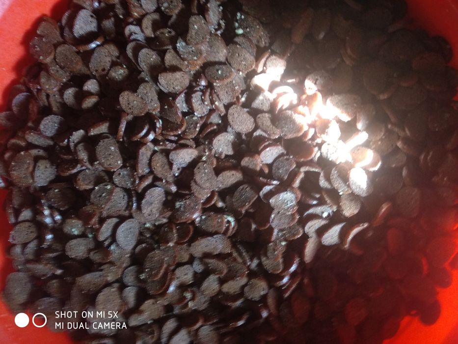 Домашние чесночные сухарики