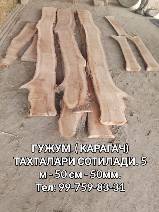 Гужум Тахта Карагач