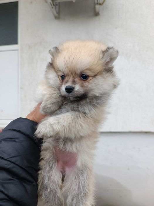 От Стара Загора сме