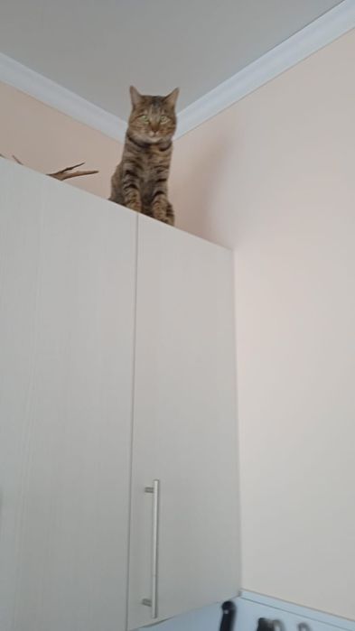 Потеряли члена семьи