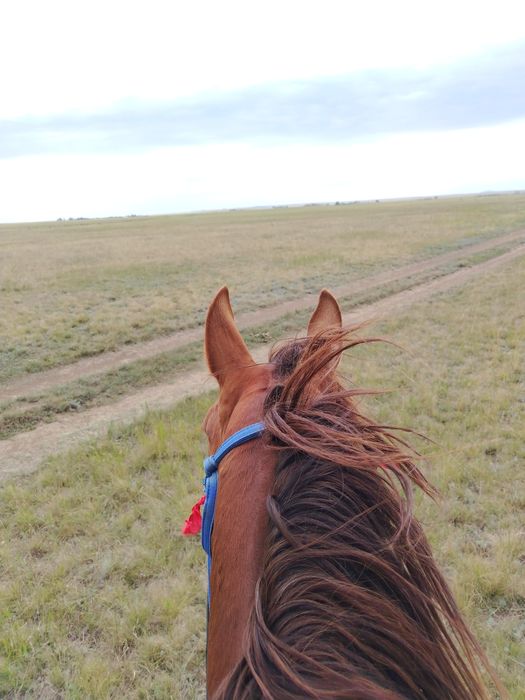 Продам или обмен