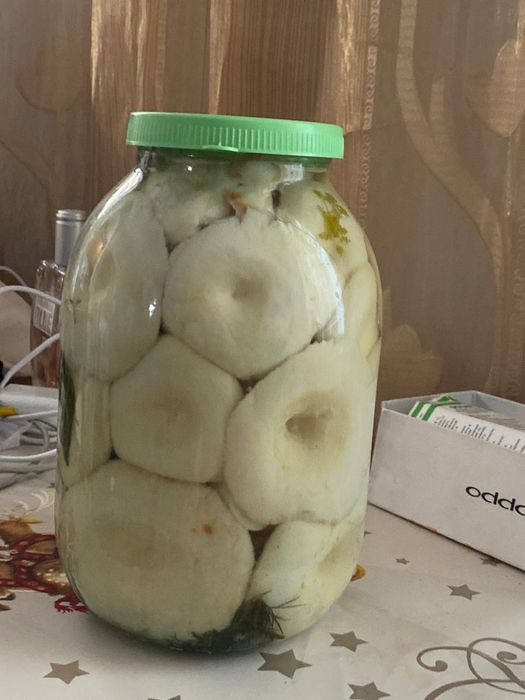 Продам грибы грузди