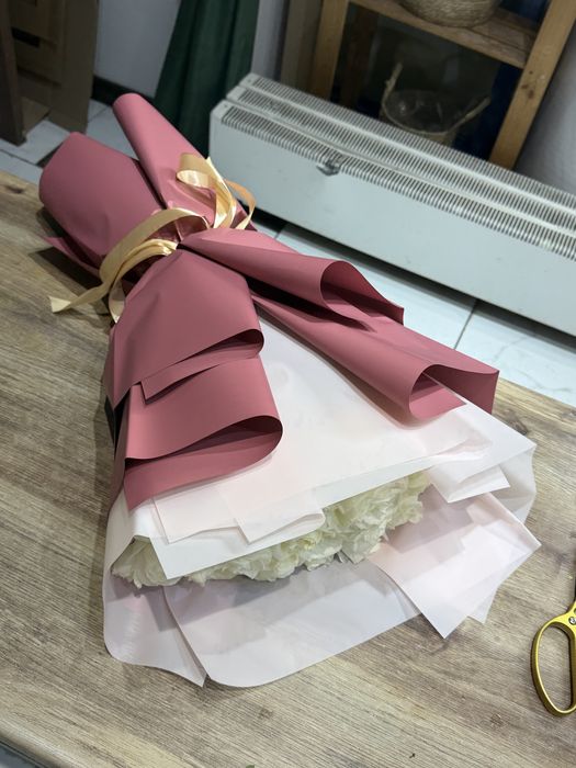 Тюльпаны Голландские