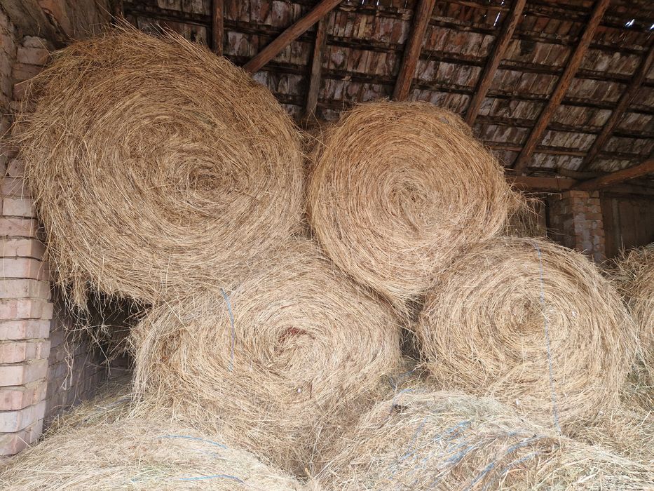 Vand baloti fan, otava, lucerna