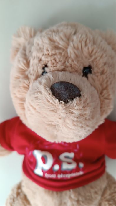 Плюшено мече и куче