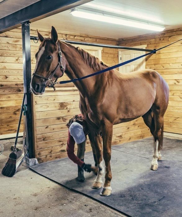 Mat mollar va otlar uchun коврик для коров и лошадей