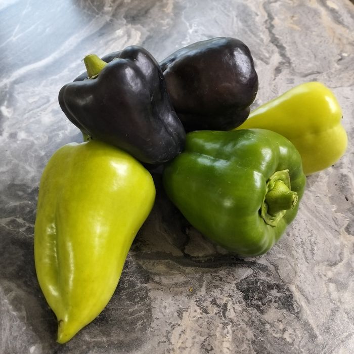 Продам перец сладкий