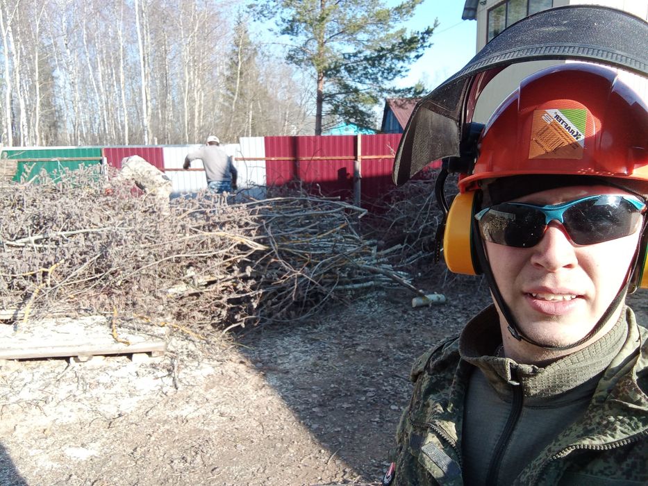 Спилить дерево , обрезка