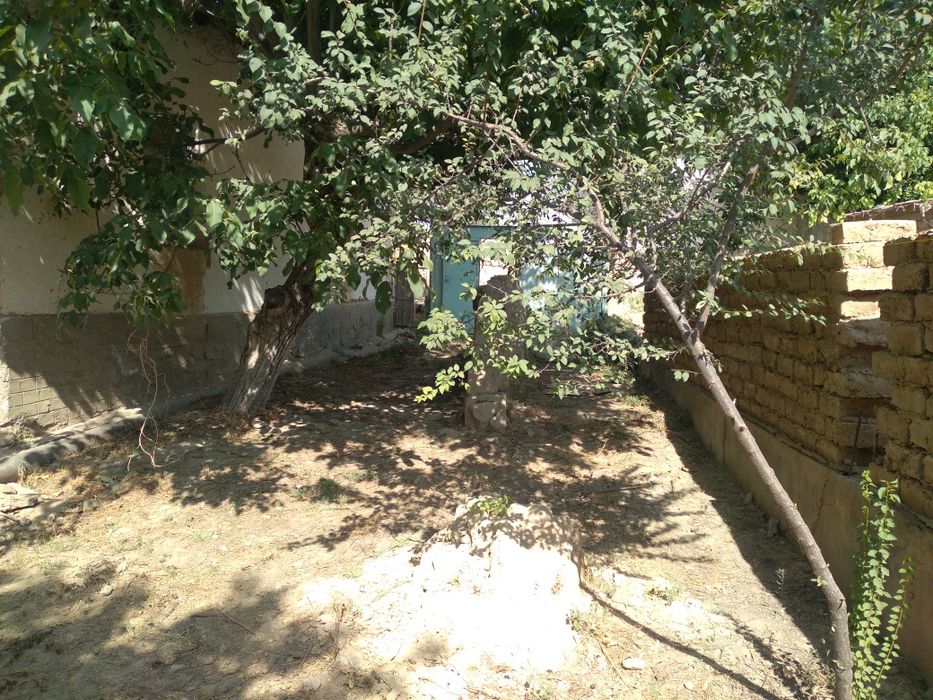 17 sotix barcha qulayliklarga ega xovli sotiladi