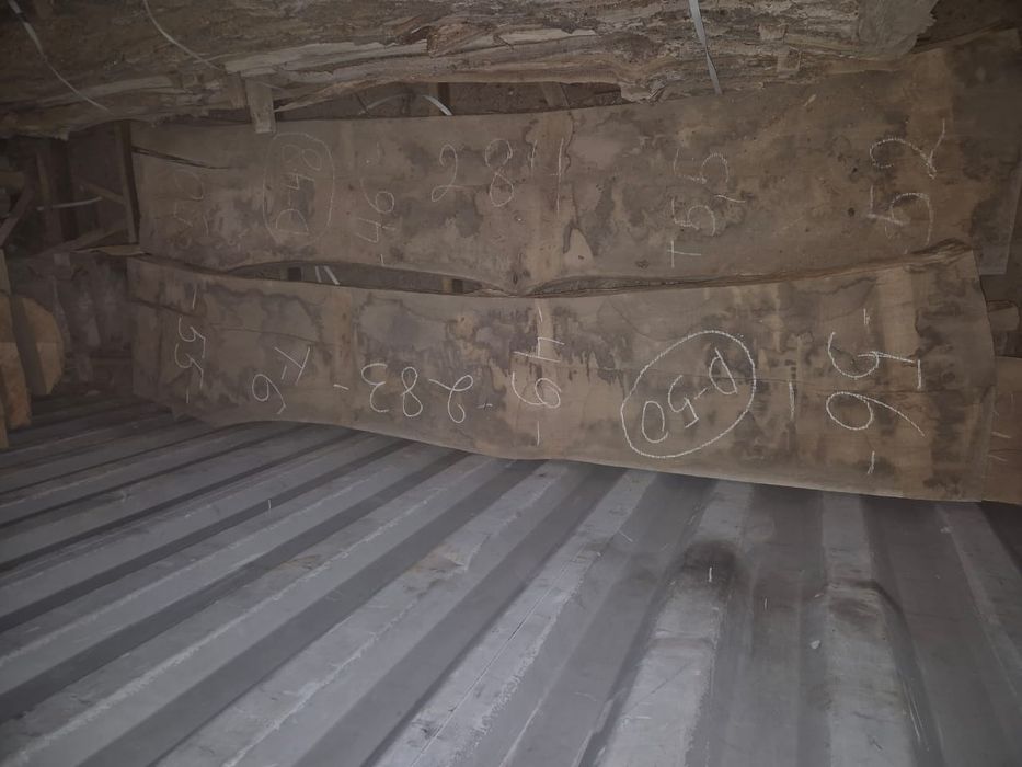 Продам доски дуба .