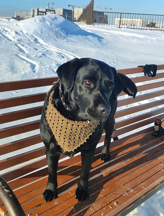 Шикарные косынки ручной работы