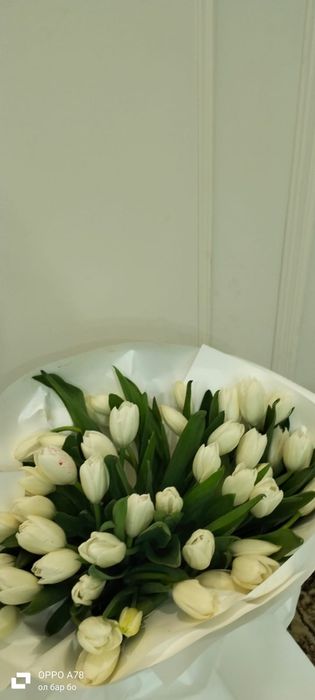 51 штук тюльпаны