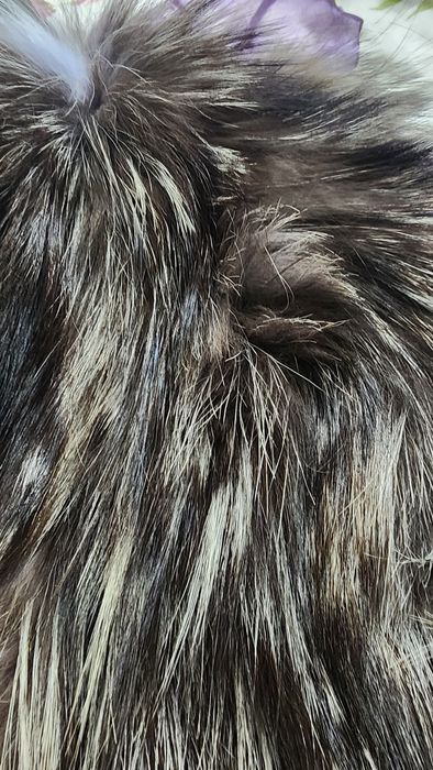 продам куртка натуральная кожа.мех.Канишка.б.у