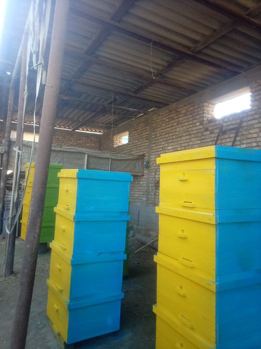 асалари.яшиклари